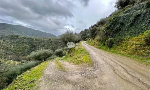 Terreno agrícola 71.790m² - Tabuaço