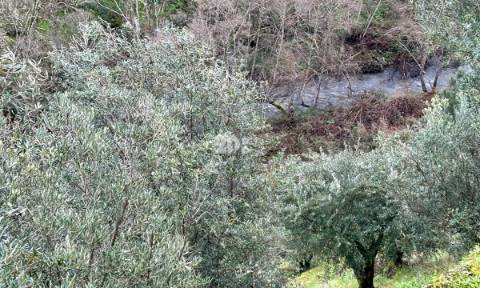 Terreno agrícola 71.790m² - Tabuaço