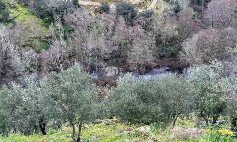 Terreno agrícola 71.790m² - Tabuaço