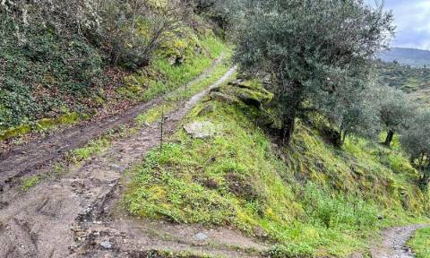 Terreno agrícola 71.790m² - Tabuaço