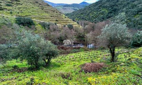 Terreno agrícola 71.790m² - Tabuaço