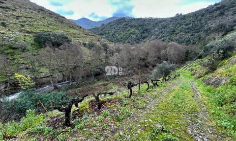 Terreno agrícola 71.790m² - Tabuaço