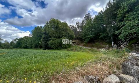 Terreno 30249m² -  Arnoso Stª Eulália