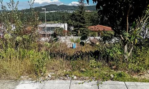 Lote terreno 405m² - Cavalões