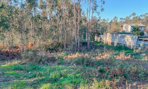 Terreno 12.000m² - Grimancelos