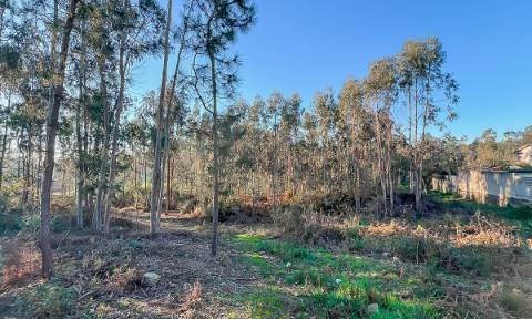 Terreno 12.000m² - Grimancelos