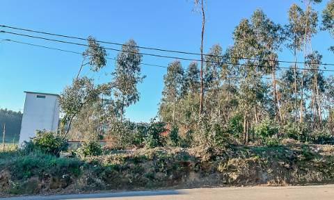 Terreno 12.000m² - Grimancelos