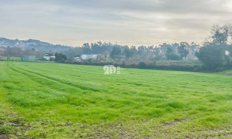 Terreno 10.000m² - Lemenhe