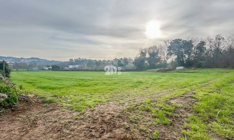 Terreno 10.000m² - Lemenhe