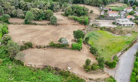 Quinta 21.000m²  - Burgães