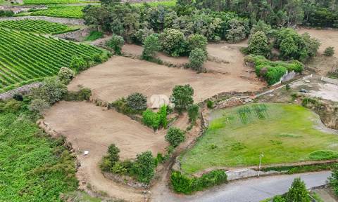 Quinta 21.000m²  - Burgães