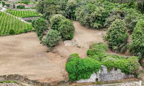 Quinta 21.000m²  - Burgães