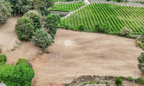 Quinta 21.000m²  - Burgães