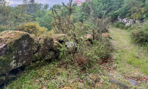 Terreno 4.250m² - Grade