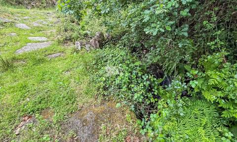 Terreno 4.250m² - Grade