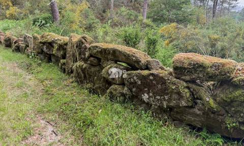 Terreno 4.250m² - Grade