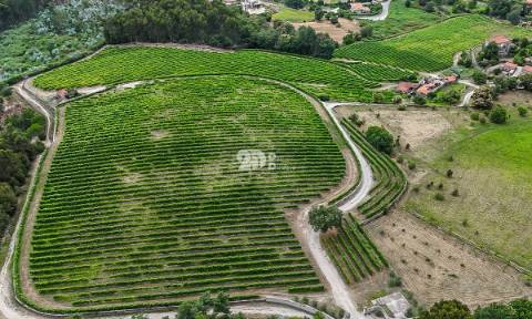 Quinta 80.000m² - Monte Córdova