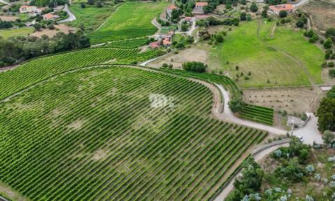 Quinta 80.000m² - Monte Córdova