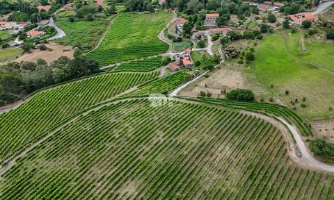 Quinta 80.000m² - Monte Córdova