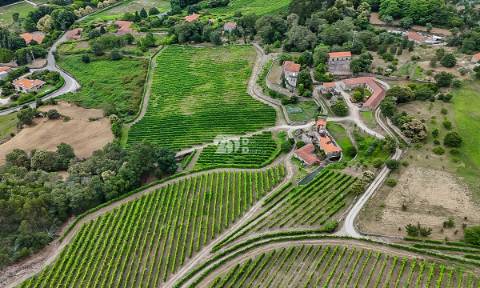 Quinta 80.000m² - Monte Córdova