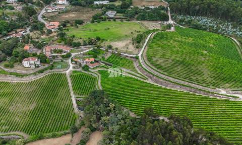 Quinta 80.000m² - Monte Córdova