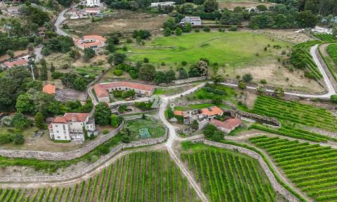 Quinta 80.000m² - Monte Córdova