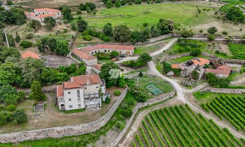 Quinta 80.000m² - Monte Córdova