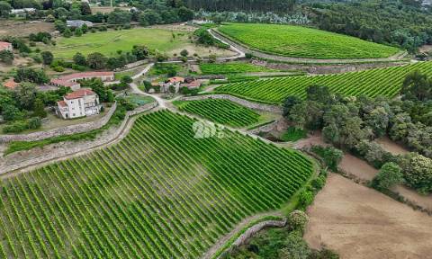 Quinta 80.000m² - Monte Córdova