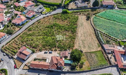 Quinta 13.000m² - Antas