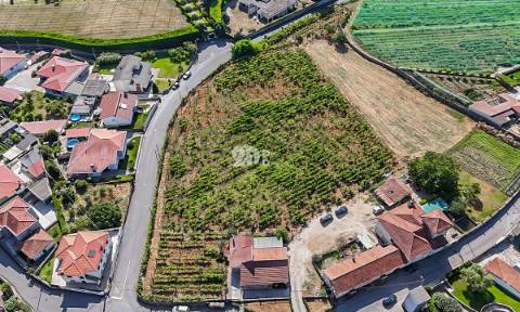 Quinta 13.000m² - Antas
