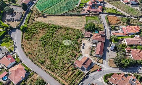 Quinta 13.000m² - Antas