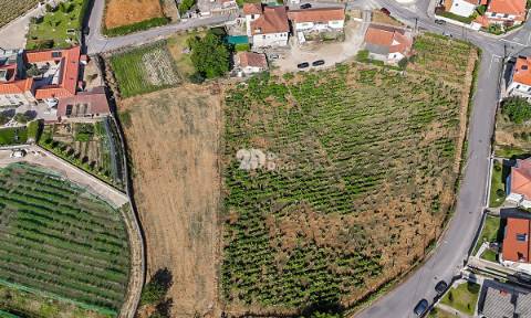 Quinta 13.000m² - Antas