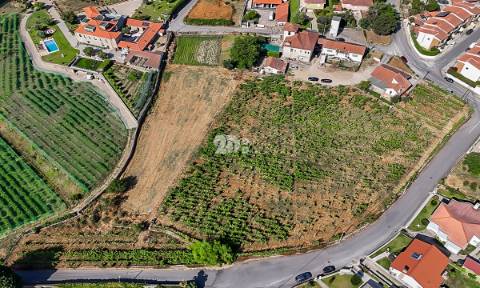 Quinta 13.000m² - Antas