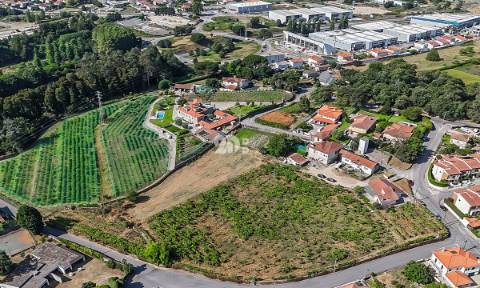Quinta 13.000m² - Antas