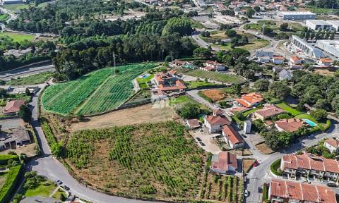 Quinta 13.000m² - Antas