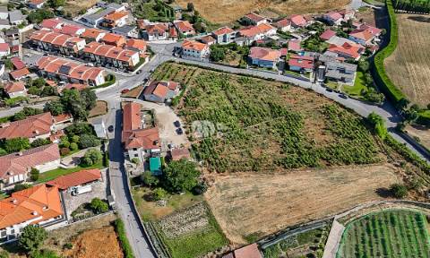 Quinta 13.000m² - Antas