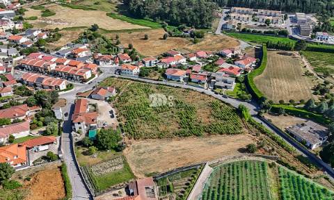 Quinta 13.000m² - Antas