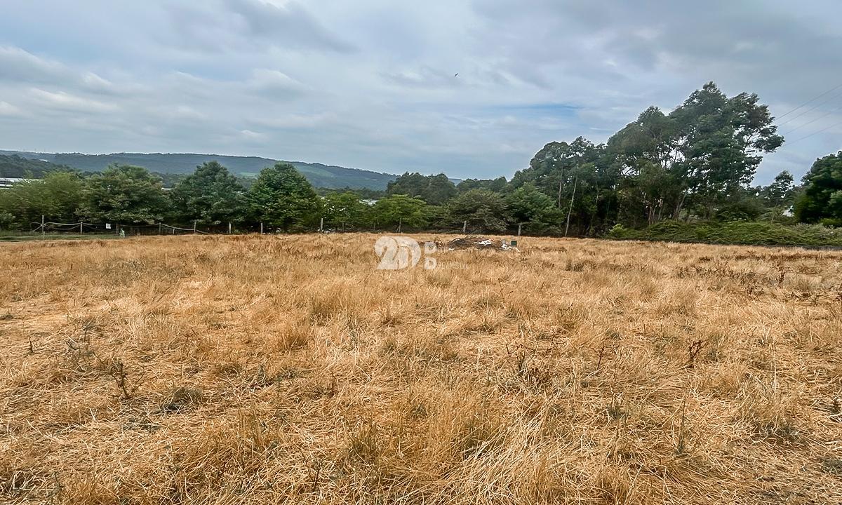 Lote de terreno 5000m² - Calendário