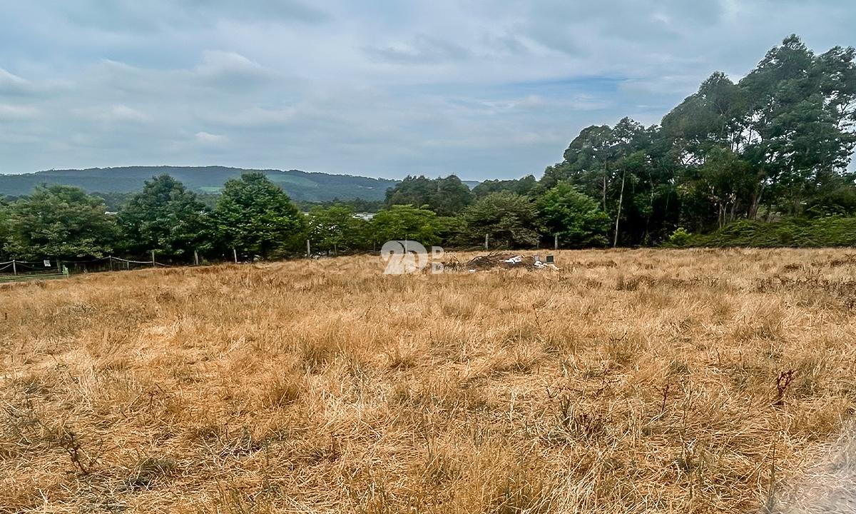Lote de terreno 5000m² - Calendário
