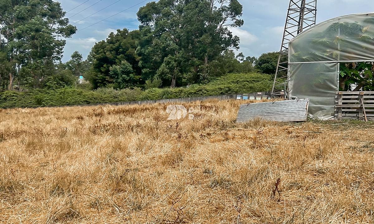 Lote de terreno 5000m² - Calendário