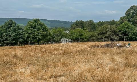 Lote de terreno 5000m² - Calendário