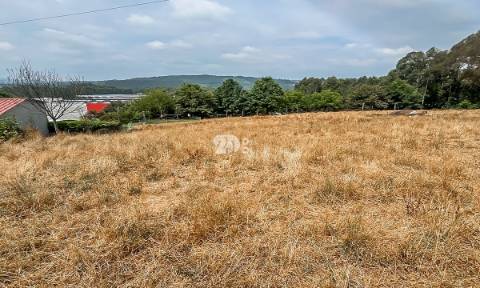 Lote de terreno 5000m² - Calendário