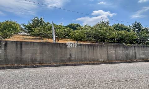 Lote de terreno 5000m² - Calendário