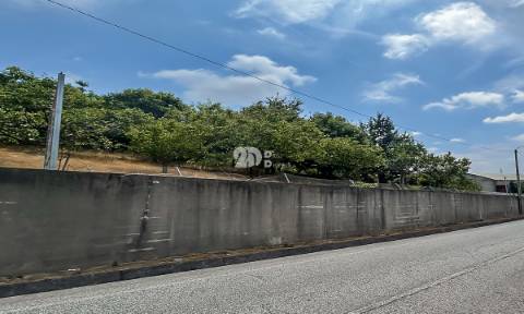 Lote de terreno 5000m² - Calendário