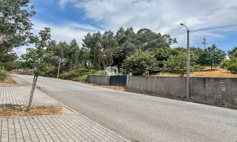 Lote de terreno 5000m² - Calendário