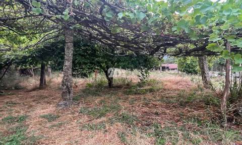 Moradia T3 restauro - Arnoso