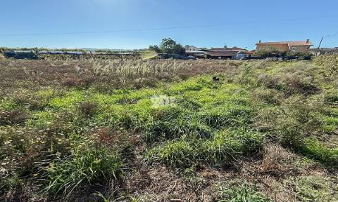 Terreno 2000m² - Areias