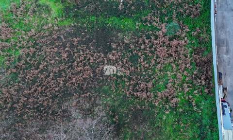 Lote de terreno 573,25m² - Cavalões