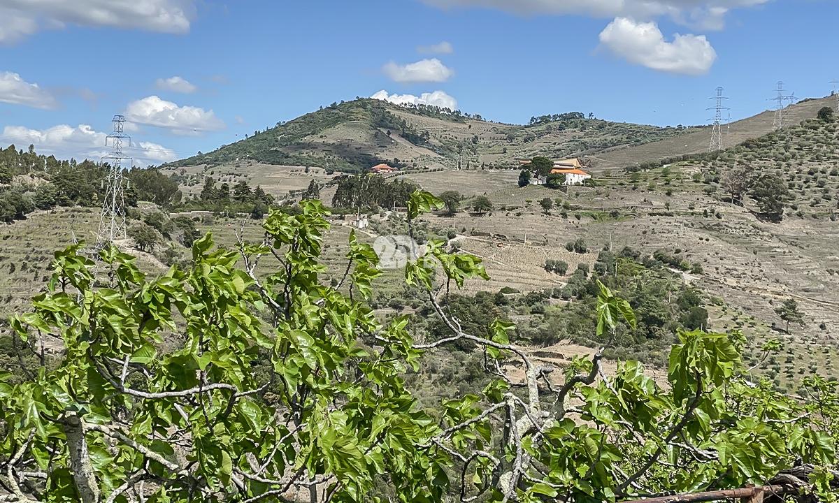 Moradia T3 - Vacalar