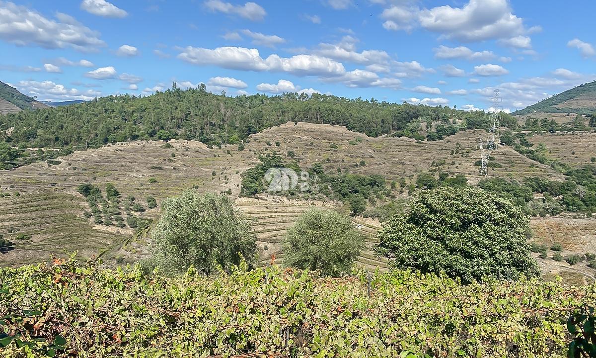 Moradia T3 - Vacalar